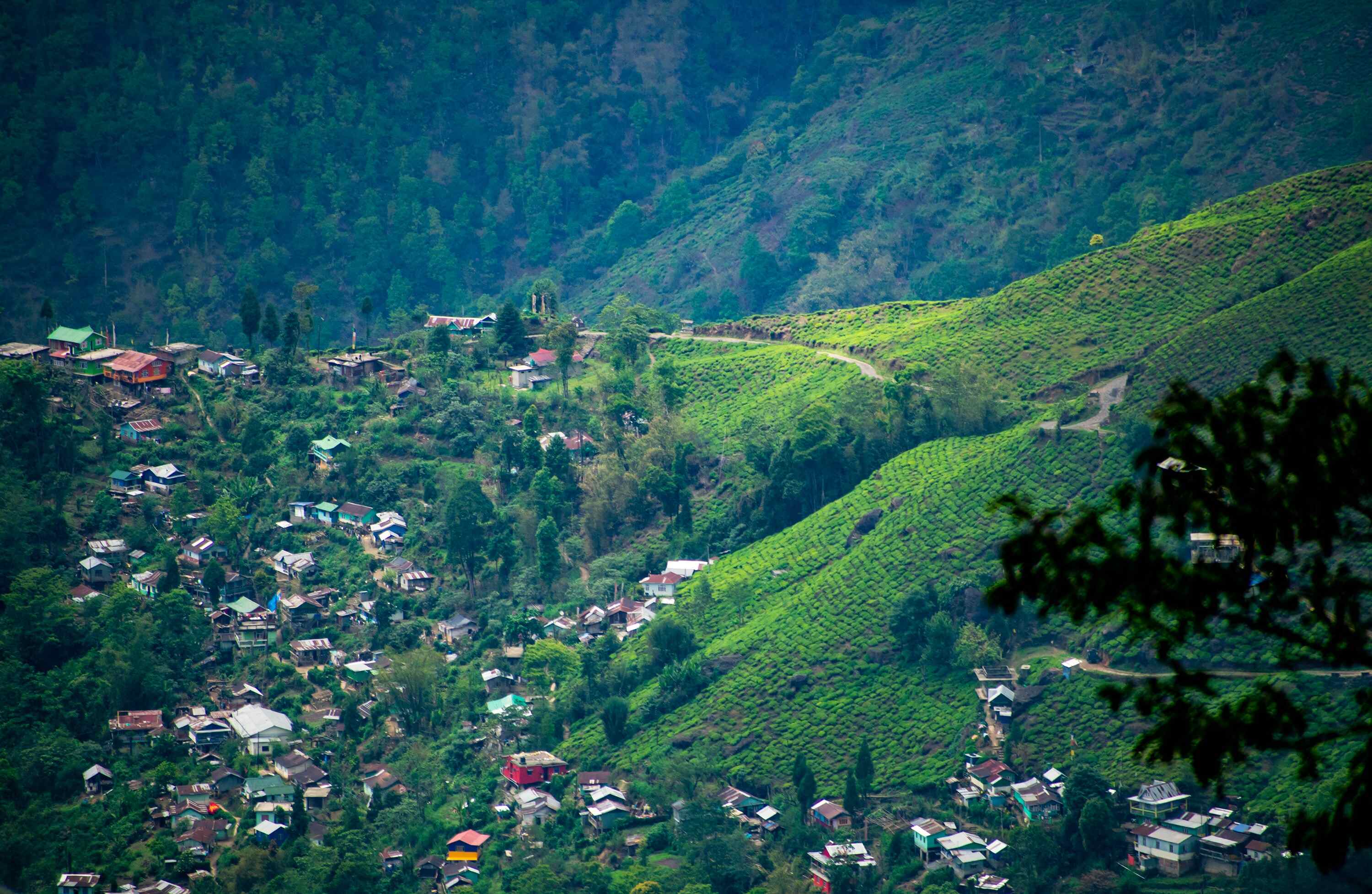 Dazzling Darjeeling Tour Packages